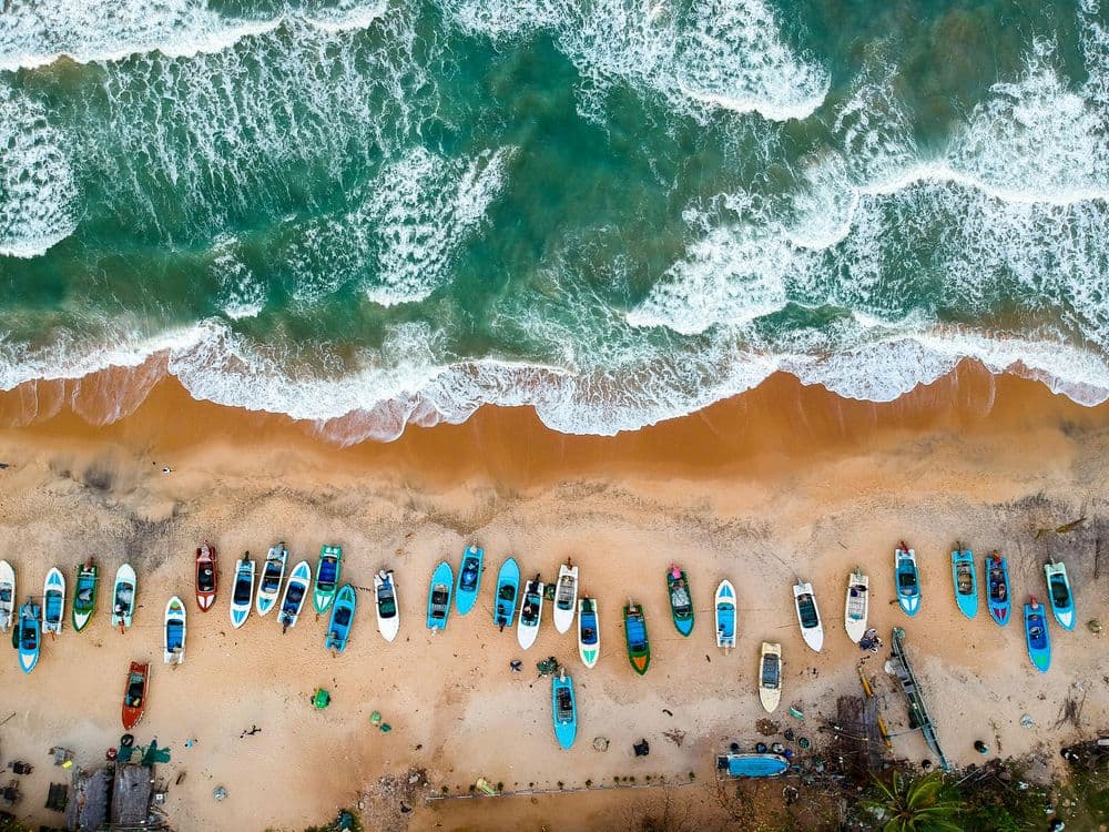 Whale Watching in Mirissa: A Practical Guide
